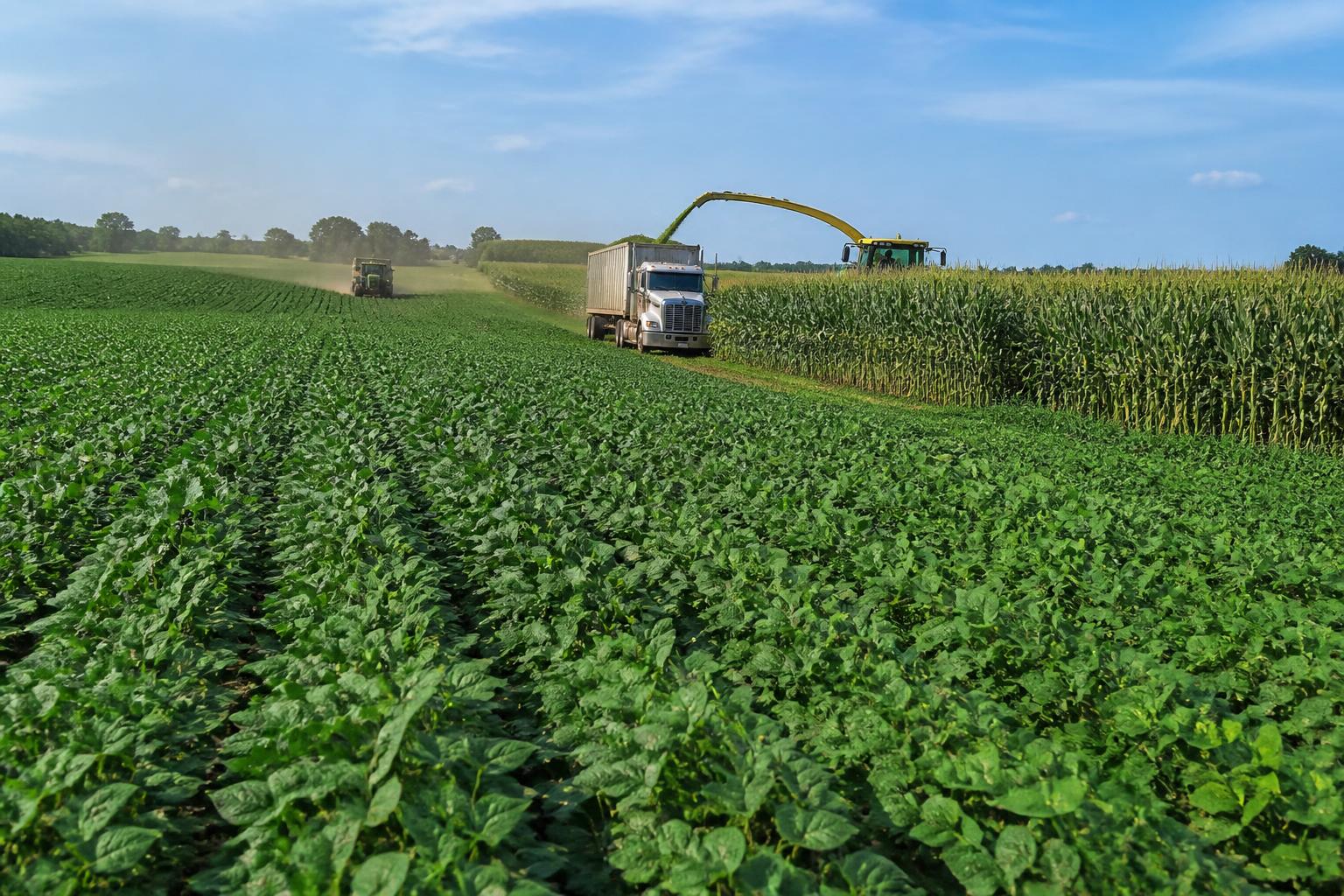 Indiana Grain Markets: Managing Summer Fuel Costs and Harvest Logistics - AgroPost
