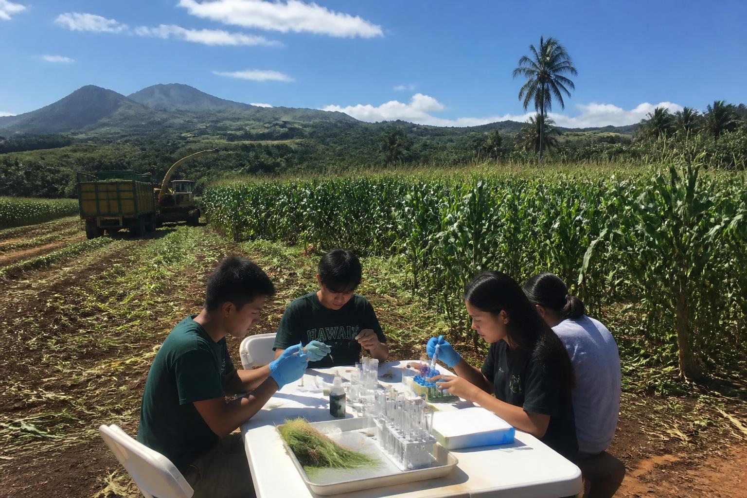 Biosecurity and Innovation Shaping Hawaii's Summer Agricultural Outlook - AgroPost