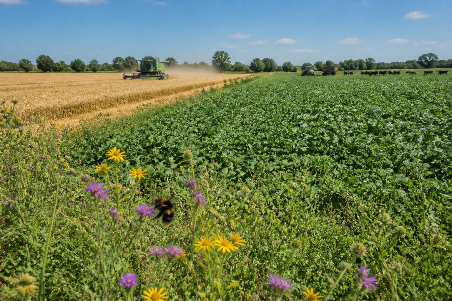 Oklahoma Ag Input Outlook: Analyzing Fertilizer and Energy Trends - AgroPost