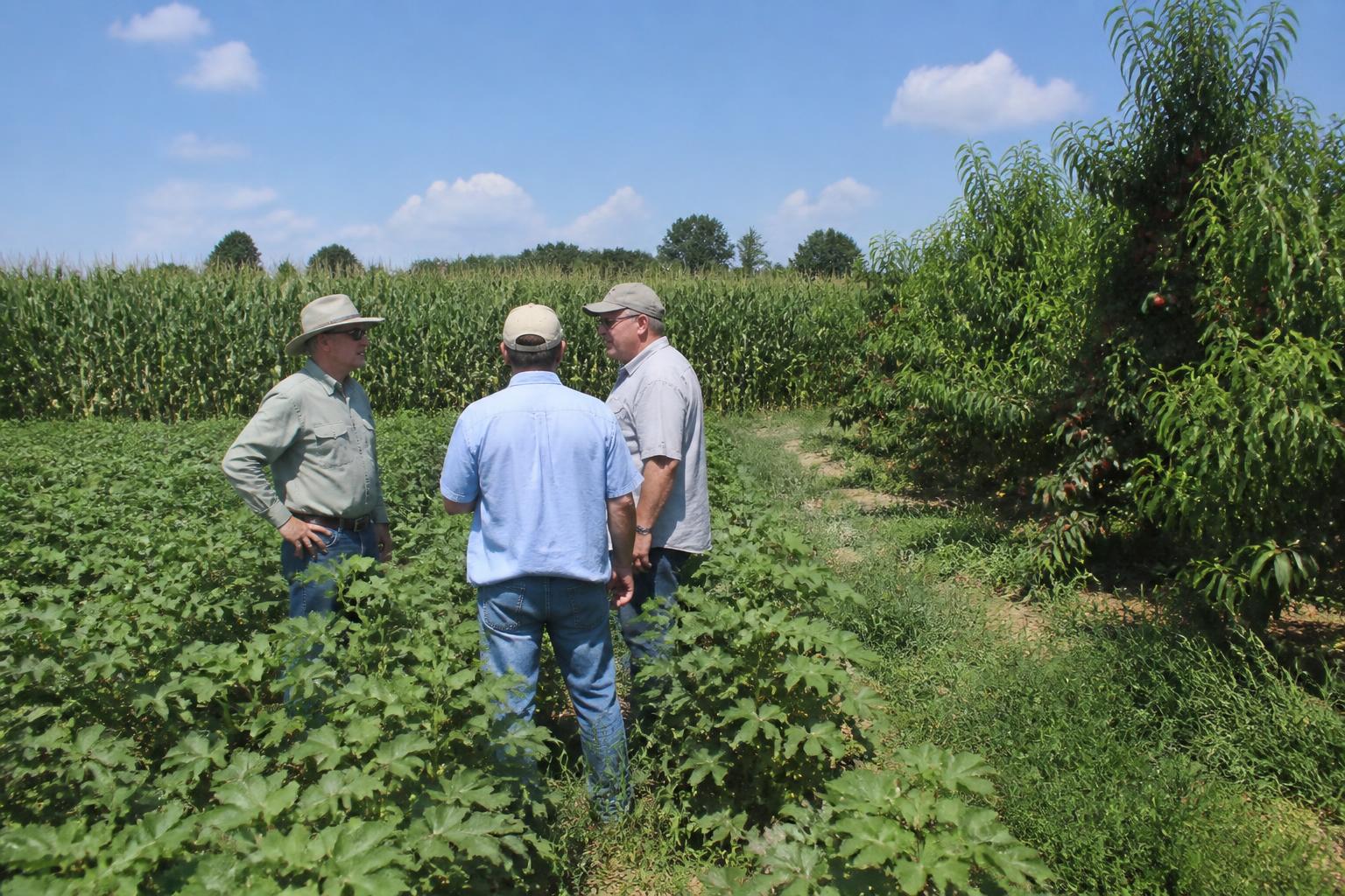 Strengthening Virginia's Agribusiness Landscape: Infrastructure and Investment - AgroPost