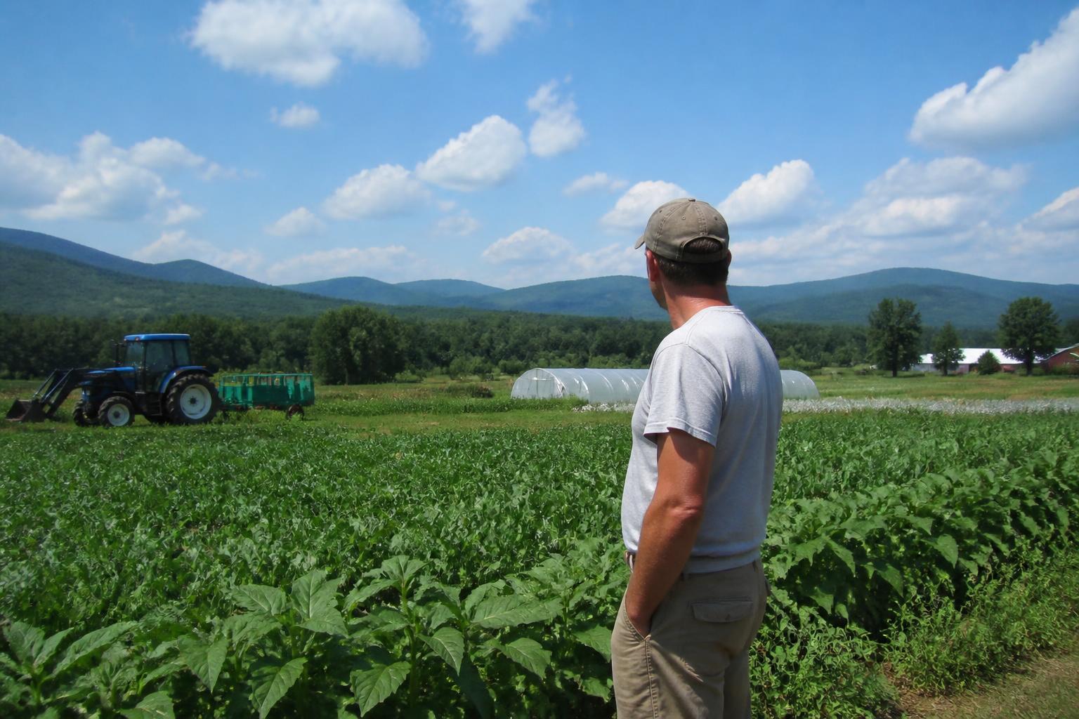 New Hampshire Growers Focus on Resilience as Seasonal Support Programs Expand - AgroPost