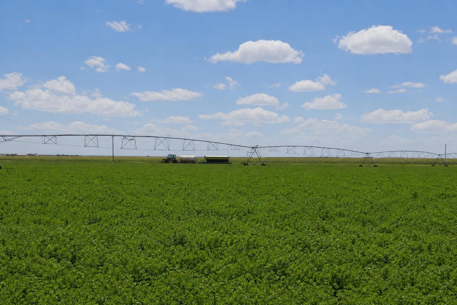 Organic Growth in New Mexico's Agribusiness: Key Insights for 2026 - AgroPost