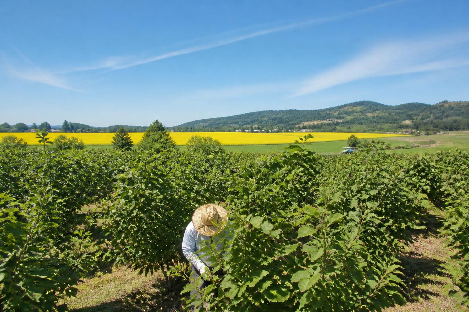 Oregon Producers Face Rising Input Costs Amidst Evolving Regulatory Climate - AgroPost