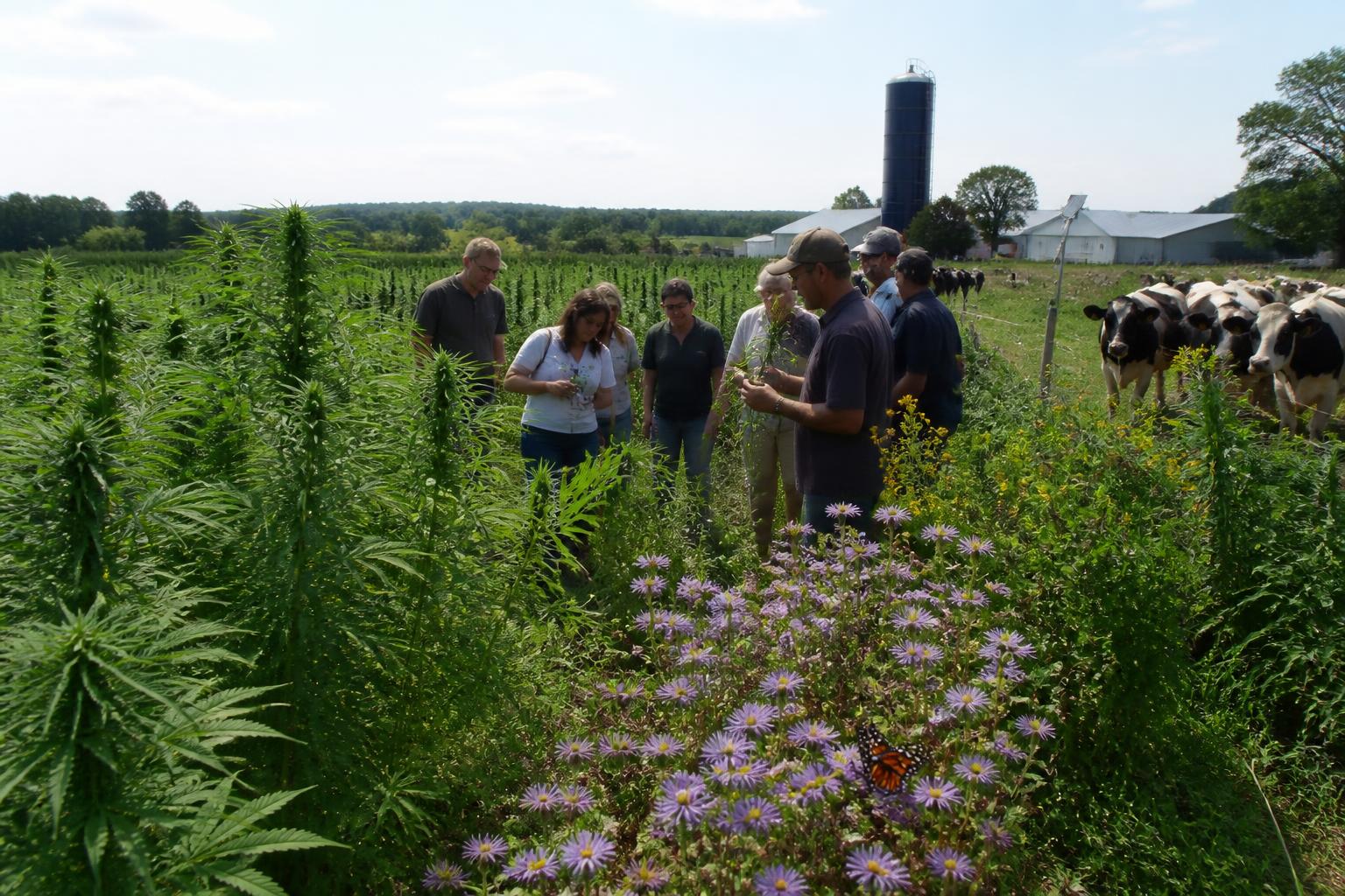 Wisconsin Growers Pivot Toward Conservation and Targeted Crop Protection - AgroPost