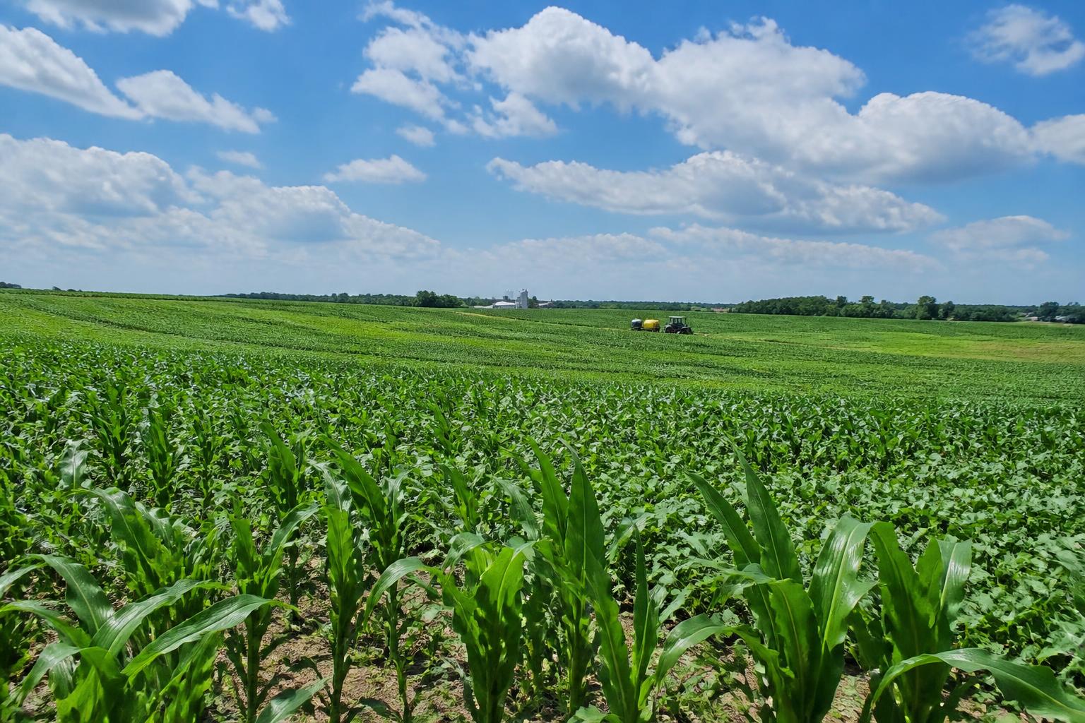 Optimizing Mid-Season Crop Protection in New York: Strategies for 2026 - AgroPost