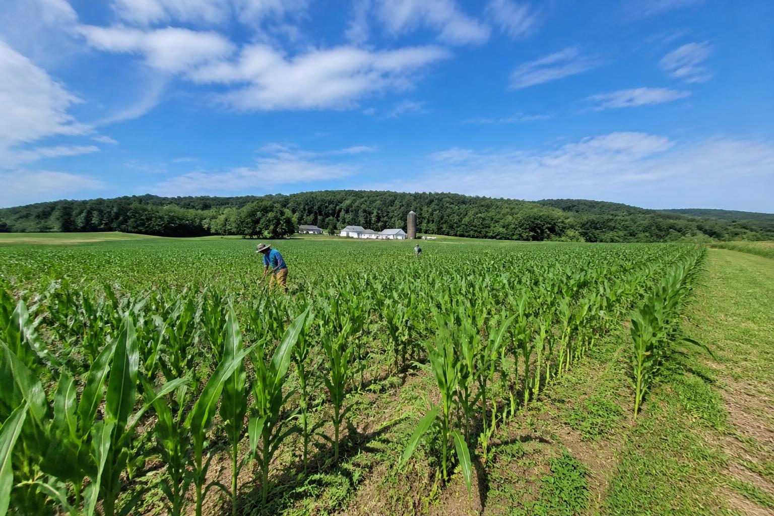Rhode Island Ag-Logistics: Navigating Mid-Summer Transport Realities - AgroPost