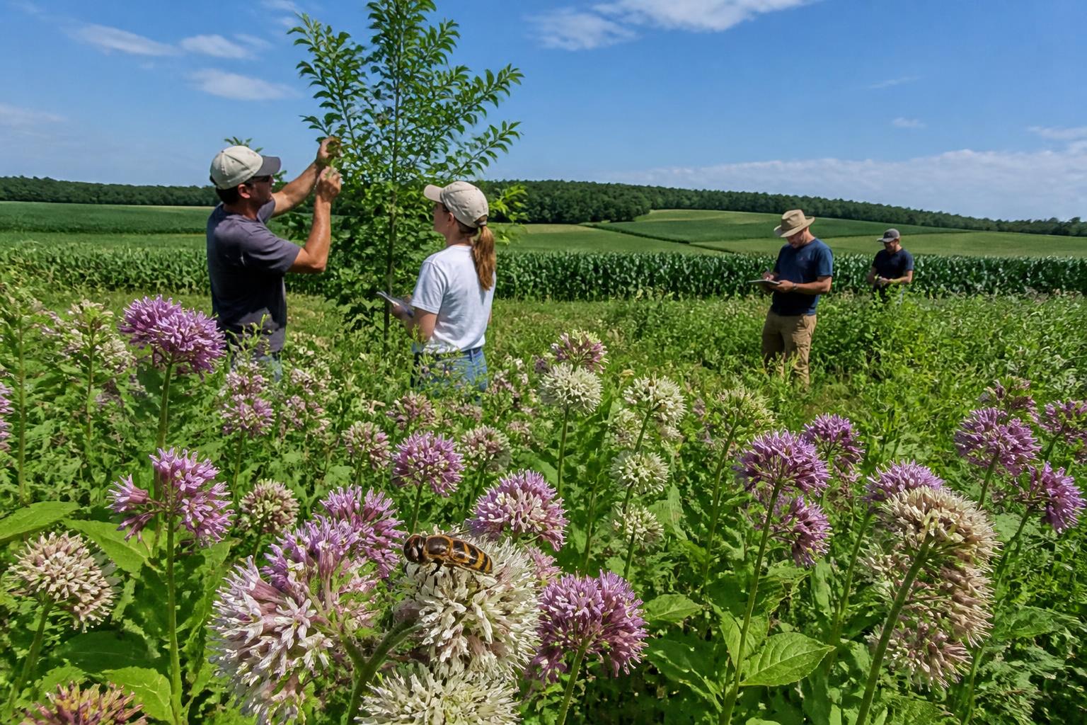 New Hampshire Ag Logistics: Navigating Mid-Summer Transport Pressures - AgroPost