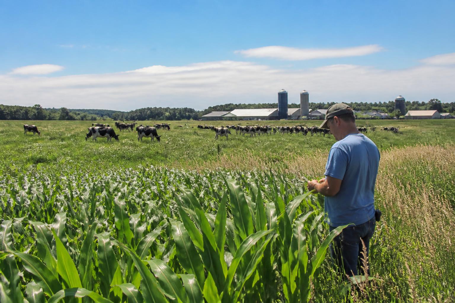 Wisconsin Logistics: Navigating Shifts in Farm-Direct Distribution - AgroPost